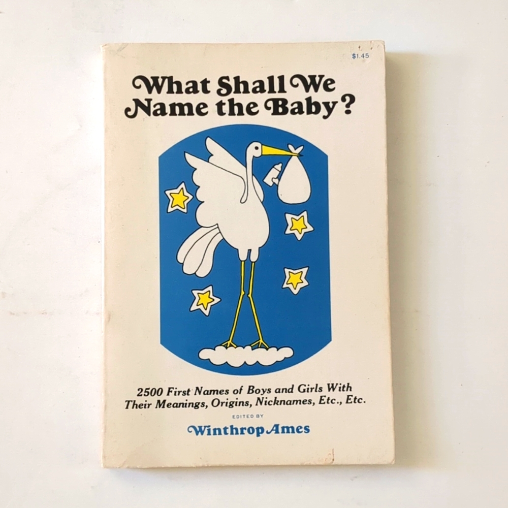 What Shall We Name The Baby? vintage Baby Naming book!
